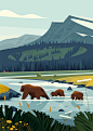 YELLOWSTONE : Creation of a panoramic illustration depicting wildlife in the Yellowstone national park in the United states, for the gorgeous french magazine America. 