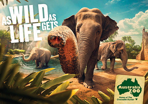 澳大利亚动物园宣传广告欣赏大象