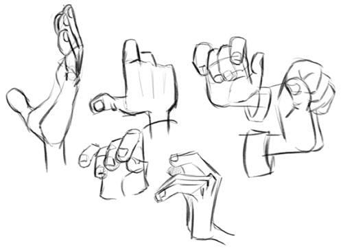 Some hand studies! M...