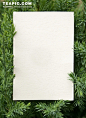 节日装饰绿色松叶边框的白色信纸