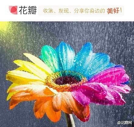 错过花，你将收获雨，错过雨，你会遇到彩虹...