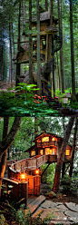你是否也想住进这样的森林小屋？