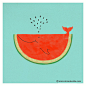 My cat can eat a whole watermelon | Flickr   Photo Sharing! #采集大赛# #小清新插画#