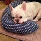 Muu is relaxing on my nursing cushion. "Thank you mammy, it feels good. "