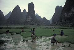 疯佛采集到风景