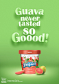 Nestle-Frozen Yogurt : Nestle-Frozen Yogurt