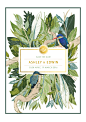 Wedding Stationery | Ashley & Edwin : A South African Bushveld Inspired Save The Date featuring the South African Kingfisher Birds.