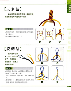 不明生物的图片收藏采集到教程