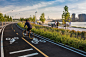 Hunter's Point South Waterfront Park : The park’s recently completed second phase offers New Yorkers an "urban wilderness;" pathways snake along the site’s contours and in between newly re-introduced wetlands and the water’s edge. Plantings enge