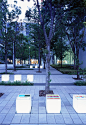 Works / Shinonome canal court CODAN Landscape Design - オンサイト計画設計事務所