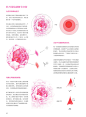 全新的绘画概念带来极致细腻的超凡体验，27种色彩与纹理的巧妙搭配，色铅笔与微距镜头的碰撞，塑造比照片更加精彩动人的大美之作！
柔美细腻的绘画笔触、深入浅出的细节解构、简洁具体的重点解析、清晰直观的步骤讲解，为你还原那些美到令人上瘾的真实细节。
#细腻##唯美##细节##极致#