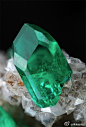 【矿物晶体美图欣赏】#Mindat每日一图# 透视石[CuSiO3·H2O]，产自透视石的最著名产地：纳米比亚楚梅布矿。如此美丽的色彩，之所以没有被大量用作刻面宝石，一方面是因为像这样透明的晶体太过稀少，另一方面也是因为它们的莫氏硬度只有5，作为宝石强度略显不够。(图片高度4.65mm，摄影：Vessely)@北坤人素材