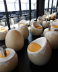 Real-Egg-Chairs