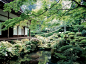 画片集的照片 - 夏日里的日本三千院。日系庭院深受禅宗和中国园林“师法自然”的影响，庭院中的植物山石、沙砾，都代表不同的意义，除给游人带来视觉上的愉悦，也在精神上得到了休息。