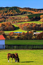 Autumn colors, Hokkaido, Japan / FALL into WINTER