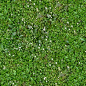 Textures   -   NATURE ELEMENTS   -   VEGETATION   -  Flowery fields - Flowery meadow texture seamless 12951