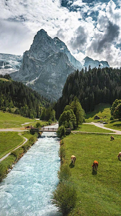 妖妖璃采集到风景