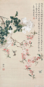 #女画家#【 潘静淑 《花鸟图》 】潘静淑（1892—1939），名树春，吴湖帆夫人。她出身于潘家，一个世代簪缨的家庭。在苏州，潘家与吴家，都有“富”、“贵”之分，潘静淑属于苏州显赫的“贵潘”。她的画作极富天才，具有“神韵超逸，窥宋元藩篱”的中国传统，画风细腻优雅，正是她大家风范的写照。