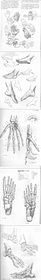 729 手足素描绘画技法 人体结构比例动态 原画动漫自学教程 资料-淘宝网