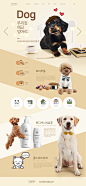 宠物产品卡通电商专题网页PSD模板：