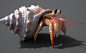 Hermit Crab : 3d model of a hermit crab made with using Zbrush, Maya and V-ray.