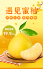 生鲜食品水果柚子海报