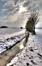 winterlandschap