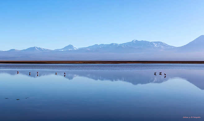 智利 阿塔卡马盐湖
打破沙漠神秘的寂静。...