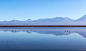 智利 阿塔卡马盐湖
打破沙漠神秘的寂静。Jimbos Padrós在500px _自然采下来 #率叶插件，让花瓣网更好用#