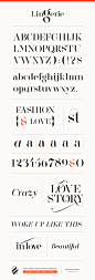 Lingerie Typeface (Wild Style) Moshik Nadav Typography : Lingerie Typeface Wild Style is part of the new typeface of Moshik Nadav Typography - Type foundry based in New York City. Take a walk on the ‘Wild’ side with this style. Lingerie Typeface Wild dare