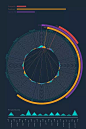 【数据可视化】别人把信息图做成了海报，你却还在用饼状图