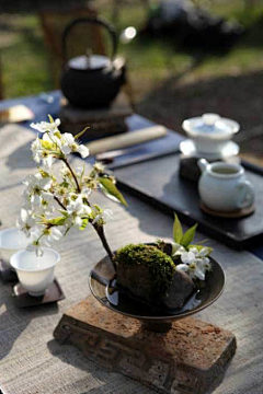 草黛春秋采集到茶室/茶席·茶道·茶文化 茶货铺/茶陈列