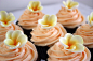 Frangipani Wedding Cupcakes