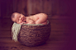 newborn photographer, baby in a basket