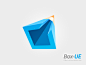 A Logo For Box User Experience Team