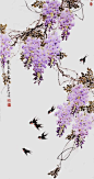 紫藤树
　　——李白
　　紫藤挂云木,花蔓宜阳春。
　　密叶隐歌鸟,香风流美人。