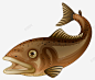 鲑鱼简笔画 免费下载 页面网页 平面电商 创意素材