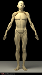 The human body structure sums up , Tai ji : Based on real structure of the human body structure sums up the first level