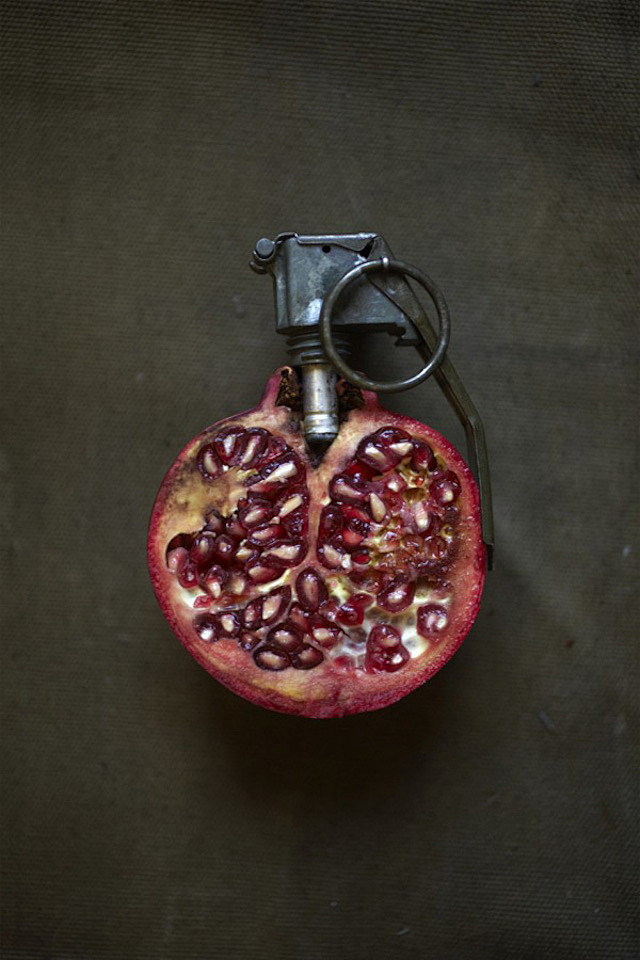 水果的艺术：Sarah Illenber...