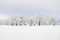 INHB_JACELEE采集到素材-水、冰、雪、雪山等