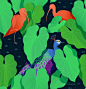 Jungle Birds on Behance
