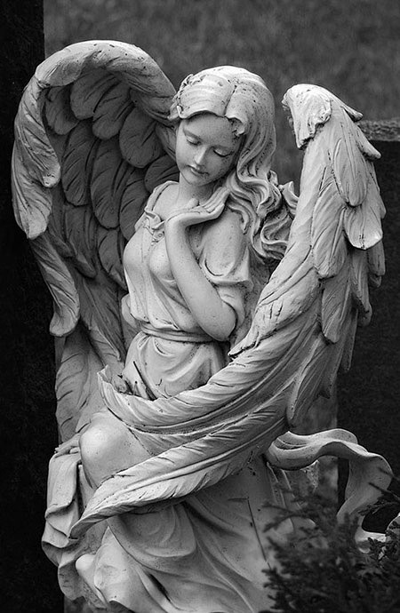 Angel Statue by Arct...