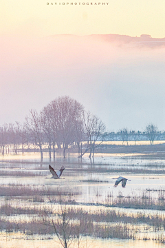 holern采集到背景 美图