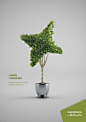 Capital Bank Green Financing Campaign : Green Financing Thematic Campaign