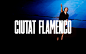Cuitat Flamenco : Ciutat FlamencoA tapestry transformed into the origins of Flamenco in BarcelonaIt may come as a surprise to some that Barcelona is one of the world capitals of flamenco. However, some of the most celebrated names in this artistic movemen