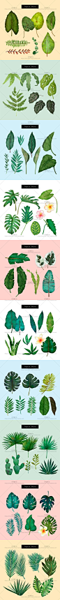 热带绿叶子植物叶片龟背竹水彩画手绘插画花卉PSD设计素材-淘宝网
