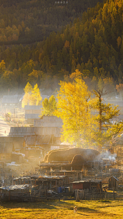 折朽采集到景