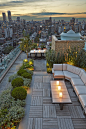 中央公园屋顶花园景观 central park rooftop