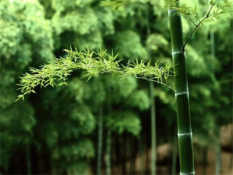 夜幕降临 

我们把自己浸润于寂静的午夜...