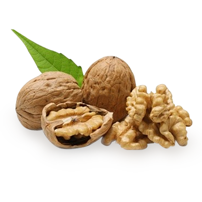 walnut_PNG34